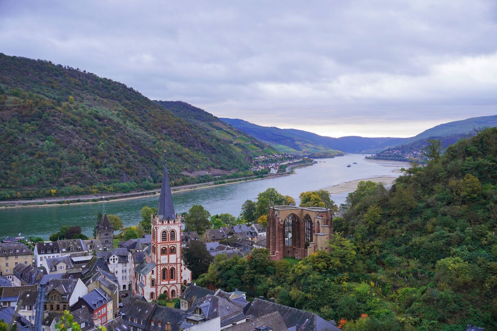 Scenic view of picturesque Rhine River towns with historic architecture and vineyards in the fall, perfect for a serene river cruise experience.