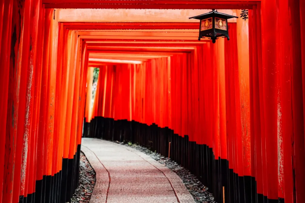Sunlight streaming through thousands of torii gates at Fushimi Inari in Kyoto